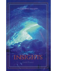 Chassidic Insights - A Guide for the Entangled Vol. 1