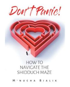 Don't Panic - HOW TO NAVIGATE THE SHIDDUCH MAZE