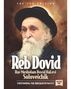 Reb Dovid Rav Meshulam Dovid HaLevi Soloveichik - Continuing The Brisk Dynasty