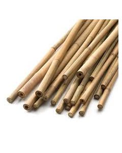 schach bamboo poles 1"