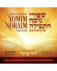 Songs & Nusach of Yimim Niraim