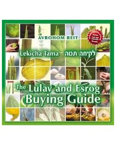 Lekicha Tama - Lulav and Esrog Buying Guide 