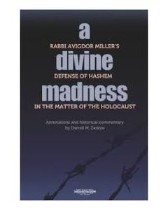 A Divine Madness