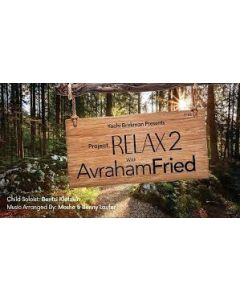 PROJECT RELAX WITH AVRAHAM FRIED 2 USB