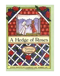 A hedge Of Roses