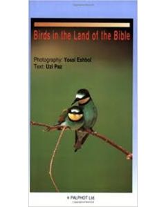 Birds in the land of the bible