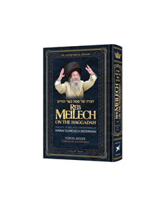  Reb Meilech on the Haggadah
