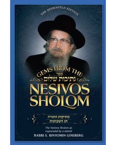 Gems from the Nesivos Shalom: Mesikus Hatorah & Chag Hashavuos