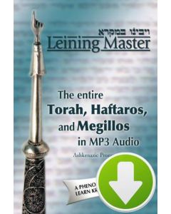 Leining Master MP3 CD