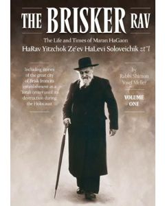 The Brisker Rav Vol 1
