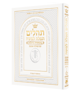 Hebrew Only, Large Type Tehillim with English Introductions Pocket size white